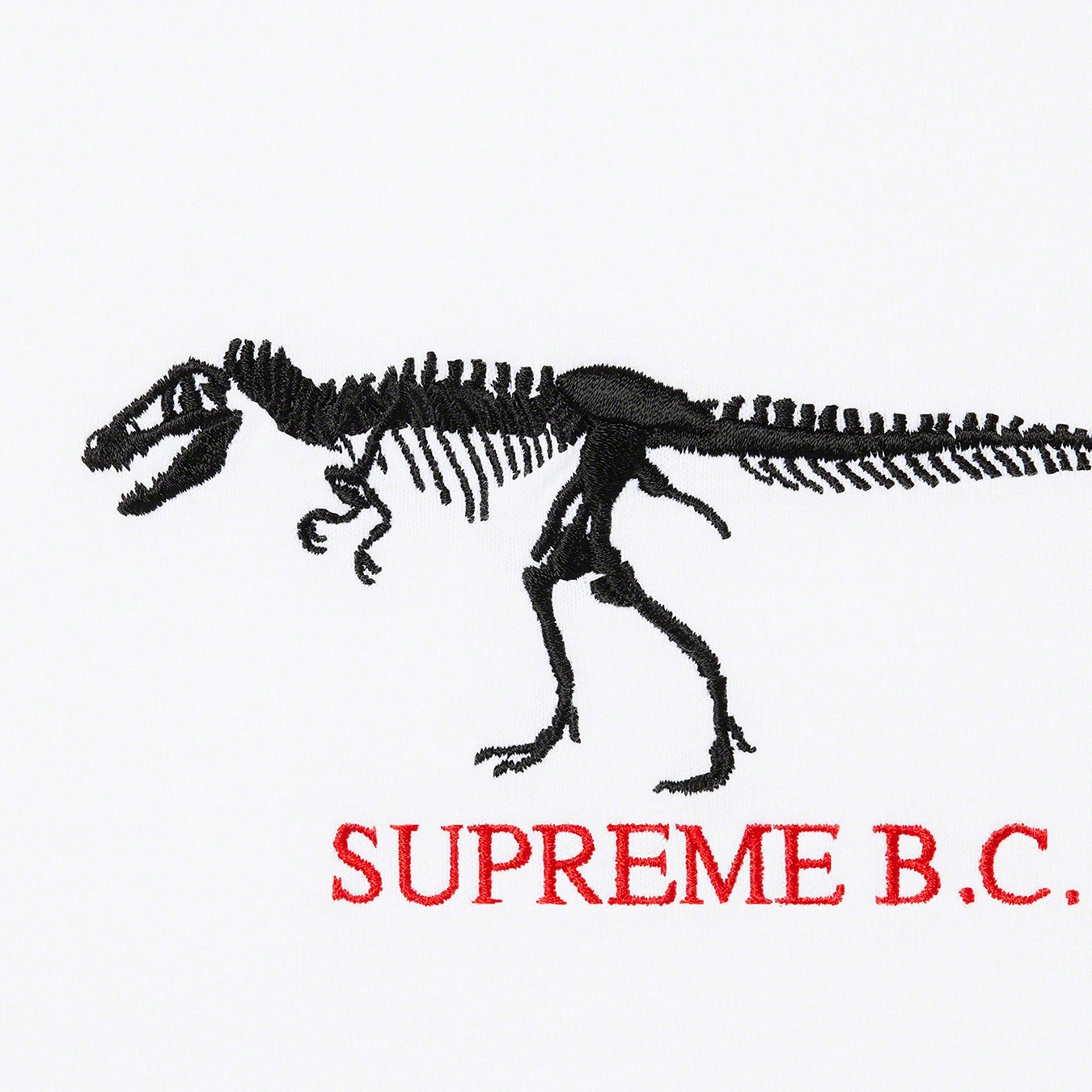 B.C. S/S Top view 4